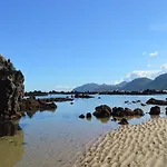El Olivo *