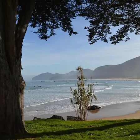 Апартаменты El Olivo *