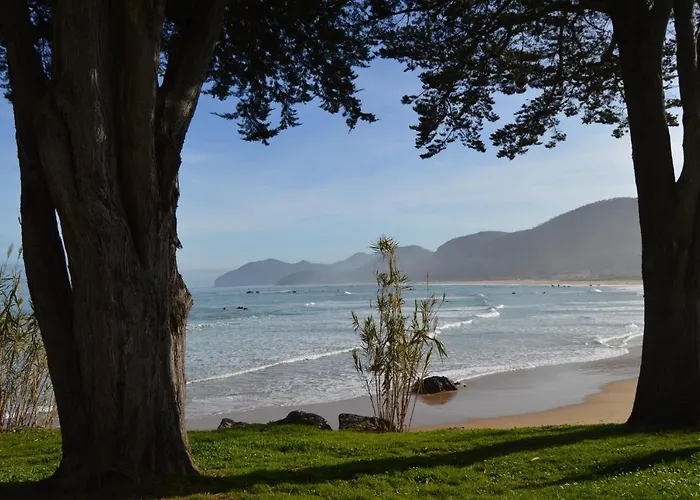 Appartement El Olivo *